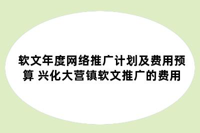软文年度网络推广计划及费用预算 兴化大营镇软文推广的费用